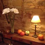 Kallstadter Hof Hotel 3*