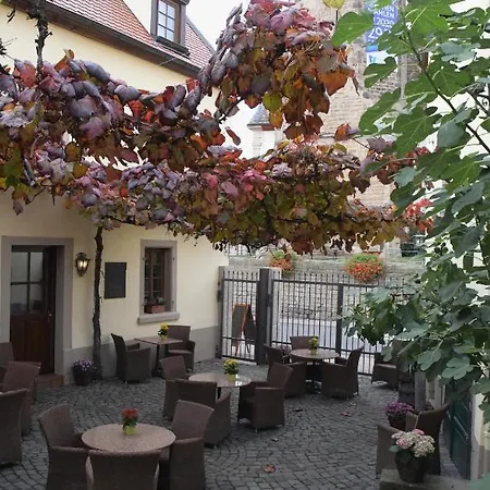 Hotel Kallstadter Hof 3*