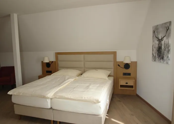 Kallstadter Hof Hotel 3*