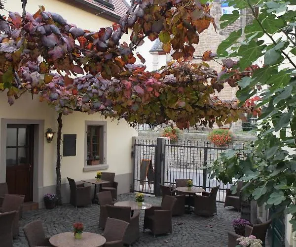 Hotel Kallstadter Hof 3*